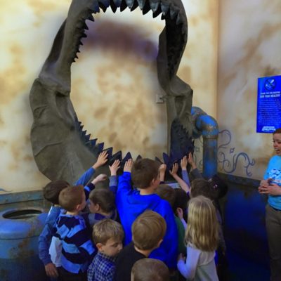 Partytime at the Denver Aquarium