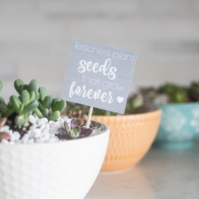 Succulent Bowl Teacher Gift